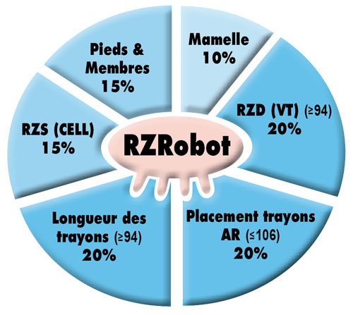 Les différentes composantes de l'index Robot