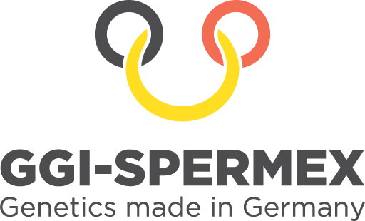 Logo GGI
